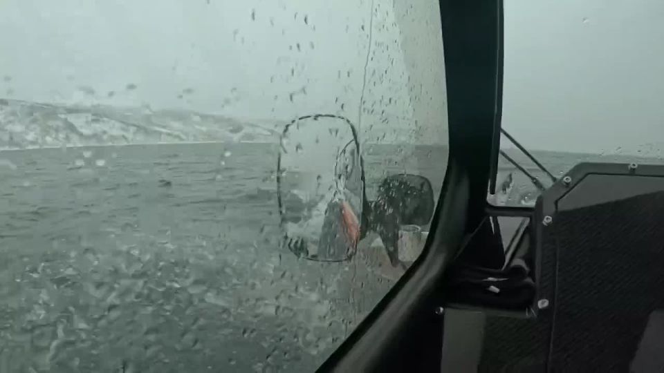 ��������� ��������� �������� ��������� ����������� ����� �� ���� ��������