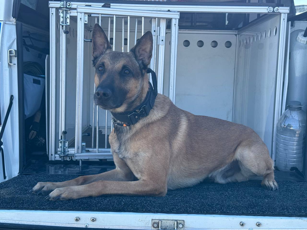 В Магадане состоялось торжественное открытие универсального лыжного стадиона имени Елены Вяльбе — выдающейся российской лыжницы, трёхкратной олимпийской чемпионки и 14-кратной чемпионки мира В Магадане состоялось торжественное открытие универсального лыжного стадиона имени Елены Вяльбе — выдающейся российской лыжницы, трёхкратной олимпийской чемпионки и 14-кратной чемпионки мира