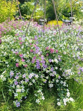 ������: ��� ������� �������� ������� �� ����� �������