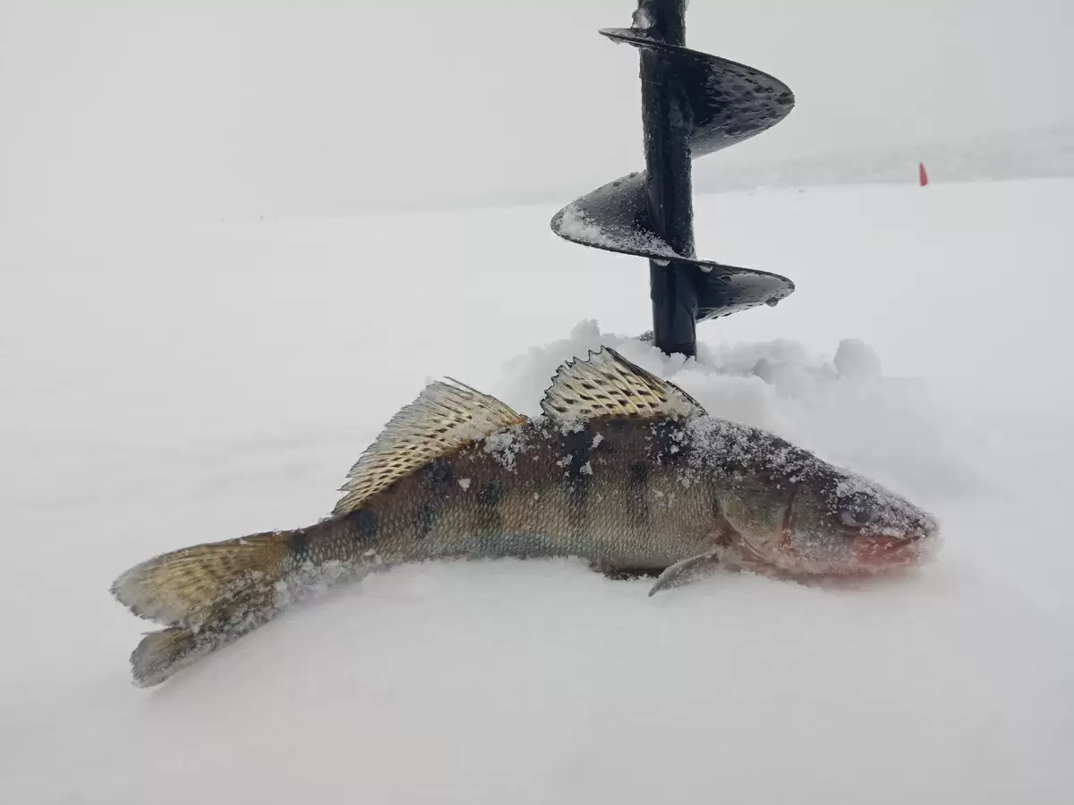 Уха по-старинному: как готовили без воды на Руси