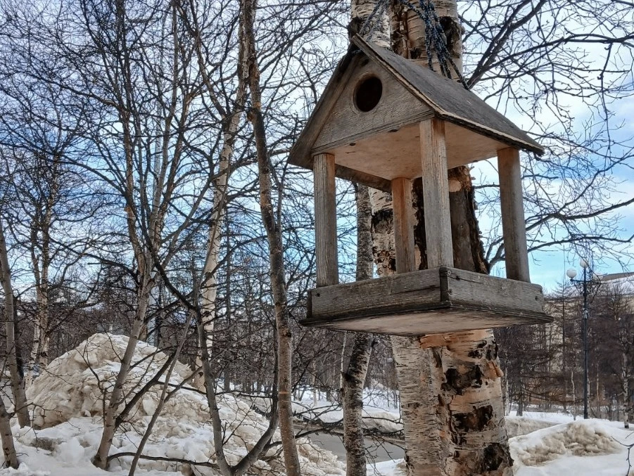 В Магадане -2