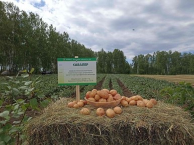 ��������� �������: �������� ����� ��� ��������� �����������