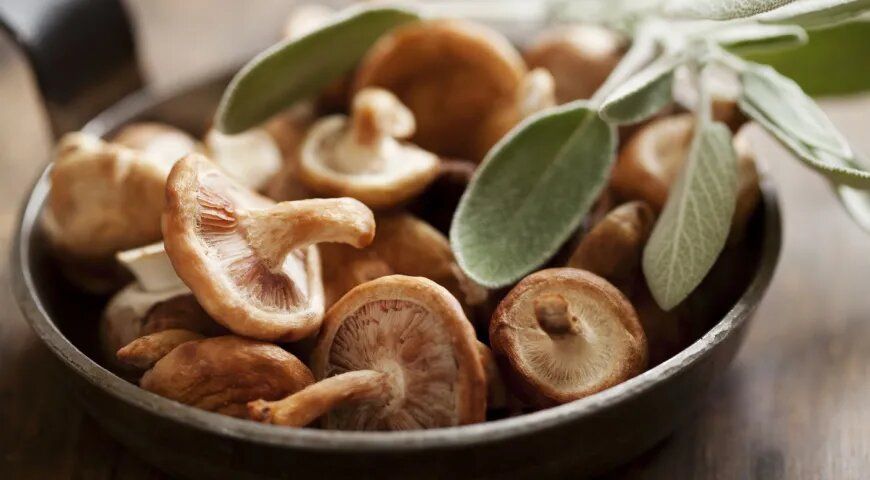 ����������� ���� ������: ����� �������� ����� �������� � ���� ����� �������� ������?