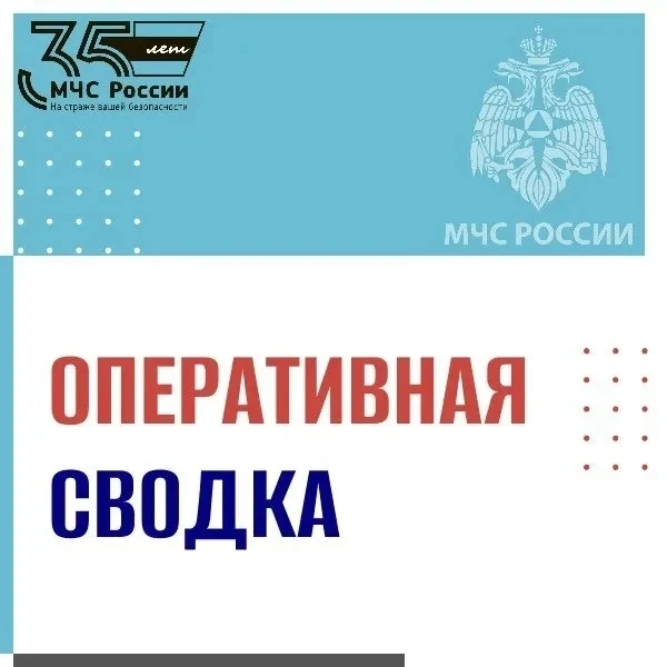 В Магаданской области за прошедшие сутки: