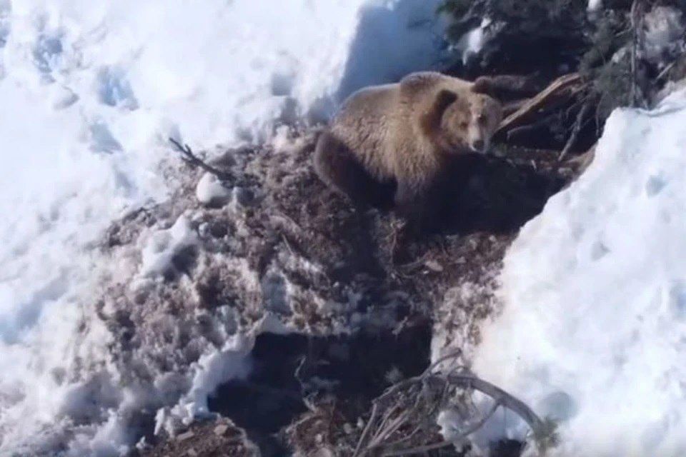 �� ������ ������������� �������� � ������������� ������� � �������� ��������� � ����