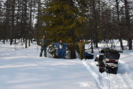 ������ ������ ������� � ������������ ���� � ����������� ������������