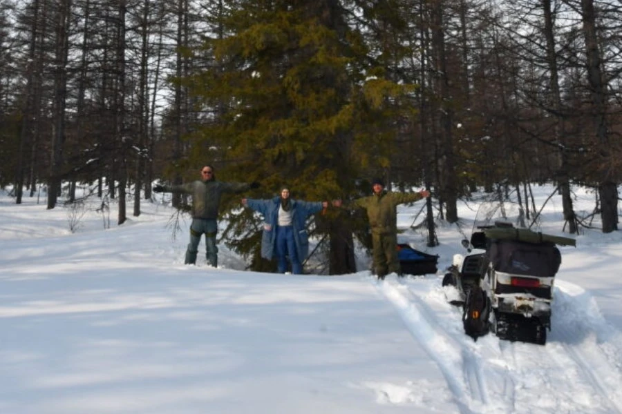 Ученые оценят возраст и плодовитость елей в заповеднике «Магаданский»