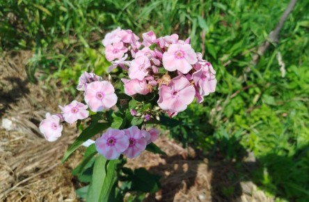 �������� ���: 10 ���������������� ������ ��� ����������� ������� � ��� �� ��������