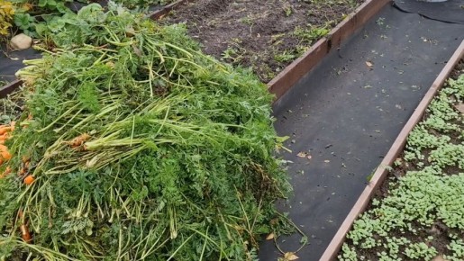 �������� � ����: ��� ��������� ����� ������������ � ��������� ���