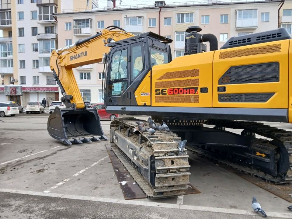 ������ ������� �������� � ����� �������� ��� �������� ��������-2026