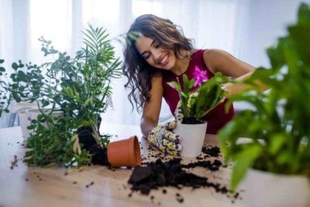 ����������� ������� ������ � �������� � ������� �������� ��������