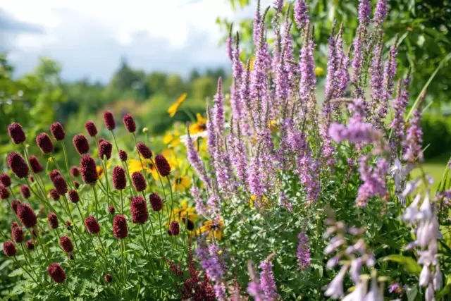 Как создать цветник, выживающий в любую погоду