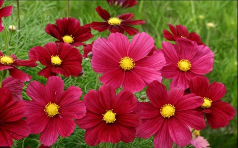 �����, ������� ����� ��������� ����� � ����: ������ ������ ��� ���������