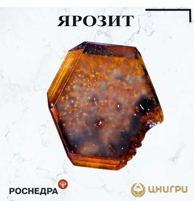 � ��� ����� ������. ��������� � �������