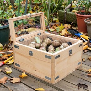 Надежное хранение луковиц: секрет создания защитного ящика своими руками