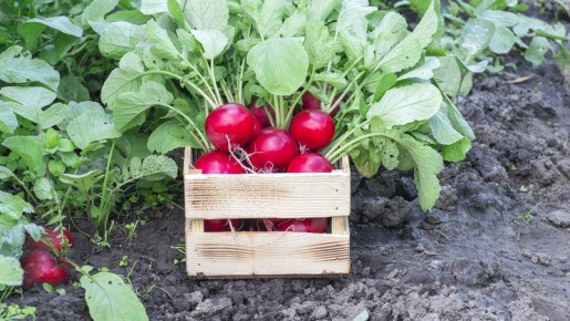 ��� �������� �������� ������ ������: ��� ����� ������ ��� ������������� ����������