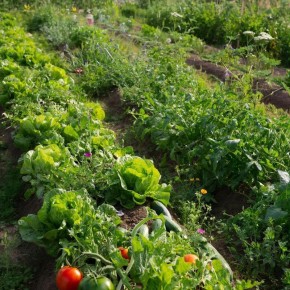 ��� �������� �������� �������� ������� ������� � �������� ������