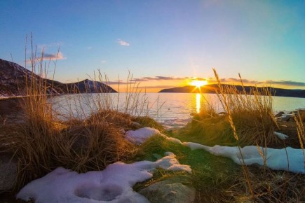 ��������� � ����������������� �� ��������� ������ ��� ����������� � �������