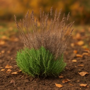 ��� �������� ����� � ������� ������� ����� ������� �����