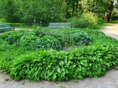 ���� � ����: 7 �������� ��� �������� ������� �������