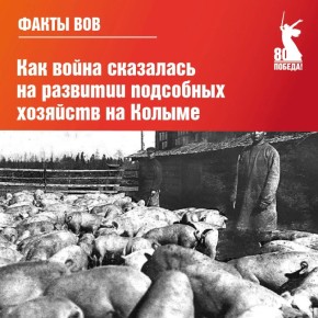 � ����� � ������������� � ������ �������������� �� ����������� ������� ������ ������������� ������ ����������������� ���������, ��������� ��������� �������