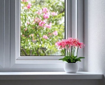 ��� ������� ����������� ����� ������� �������: ����������� ������ ������ � ���������