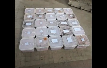 ���� � ��� ������� �� ���������� ������ 340 ����������� ������� ���� �� ������