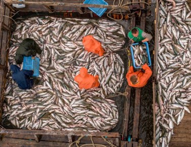 ����� ������: �� ����� ���������� ��������� � ���������� �������� ������� ���� � ����������� �������