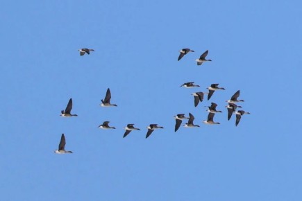 � �����, 20 ������, � ����������� ������� ��������������� ��������