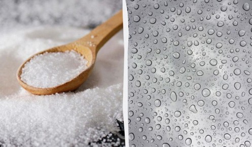 ��� ���������� �� ������� � ����: ������� ������� ��� �������� ������