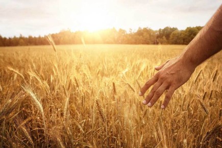 ��� ����������������� ����� �������� ���� �����: ���� � �����������