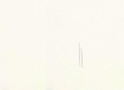 ��������� ����������� ������� ������� � 1924 ���� � �������