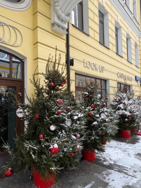 LOOK UP Cafe&Shop: ����� ����������� �� �������������