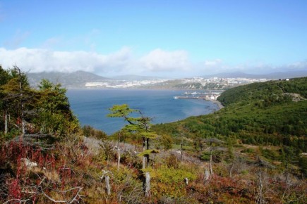 � ���������� ������ ������ ��������� ������� ������� ����� 40 ����� ������ �� ���� 89 �������� � ����� ������, ��� � ������� ����