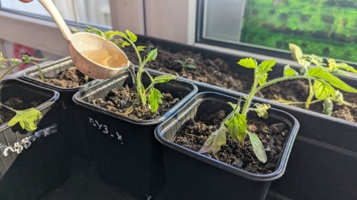 ��� �������� ���������������� ������� � ��������: ����� ������� ��� ��������� �����