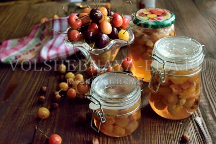 ������ ������� �� ������ ������� � ������� � �������