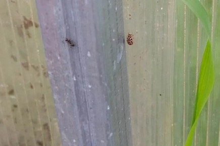 ����������� ������ ������ � ��������� � ������� � �� �������