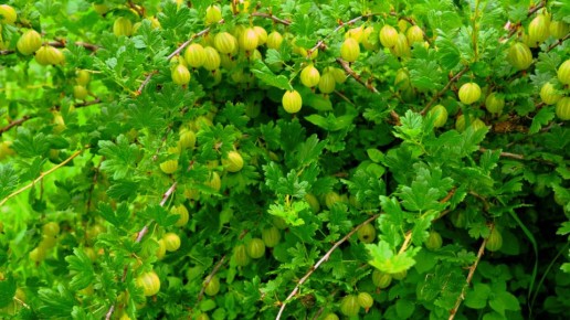 ��� �������� ����� ��� ������ ����������: ������� �������� ���������