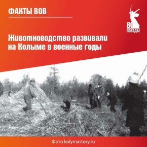 ����������� �������� ������� ������� � ���������� ������ �������� ��������� ��������� �� ������