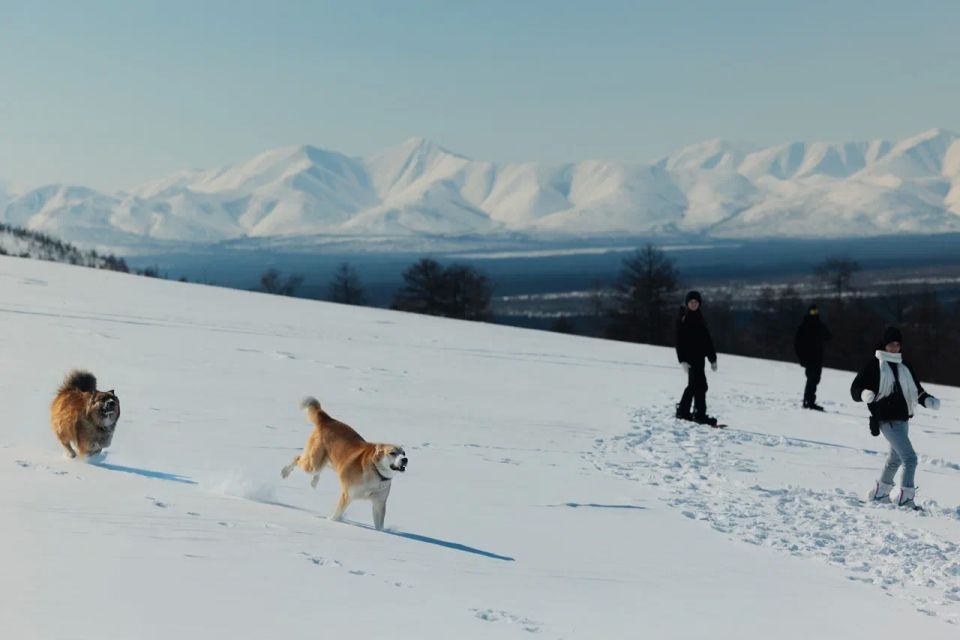 ������� ������� �������: ������ ����� � ������������ - ����� 15 - ������������ �����