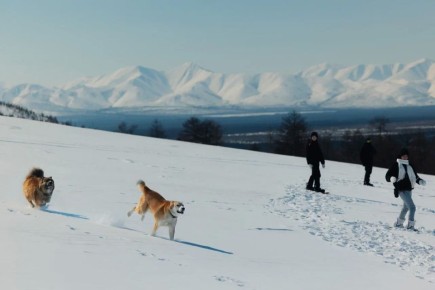 ������� ������� �������: ������ ����� � ������������ - ����� 15 - ������������ �����