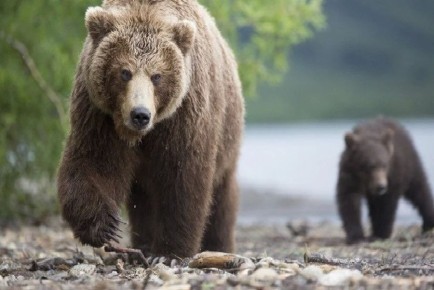 ������������ ����� ���������� � ����� �������� �� ���������� ����������� ������