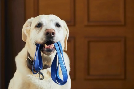 ������� ������ ����� ��������� ����������