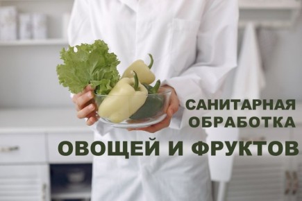 ������� ����: ����� �� ������������ ������ �������� ��� ������ � �������?