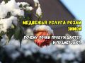 ������ ���� �������� �����: ������ ������ � ������ ��� ���������� ��������