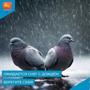 � �������� ���� 15 ��� ��������� �����, ������� ����� �� ������