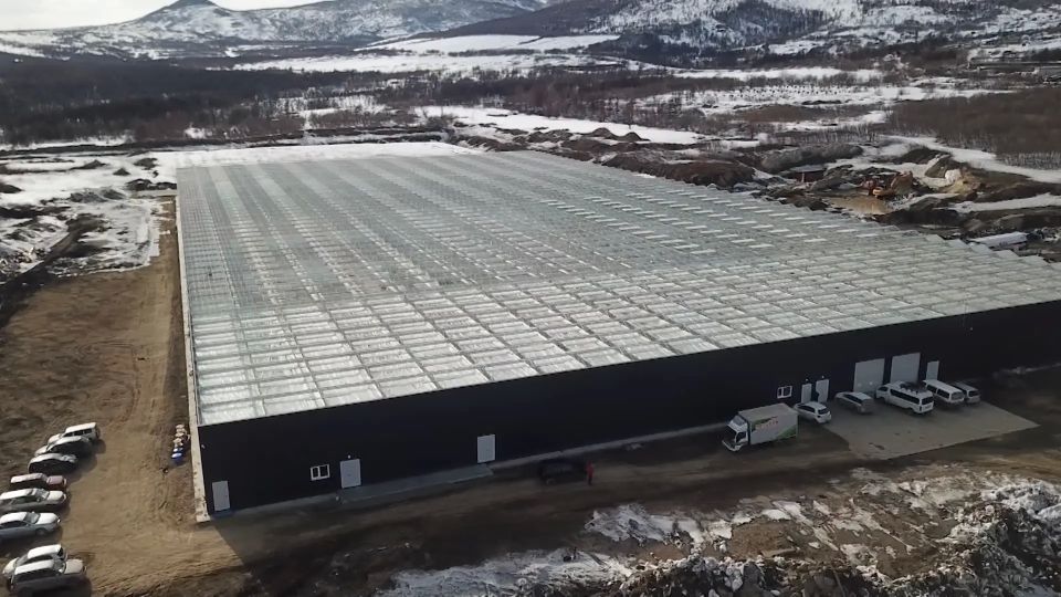 В новом тепличном комплексе Магадана планируют выращивают до 800 тонн огурцов и около 300 тонн помидоров в год