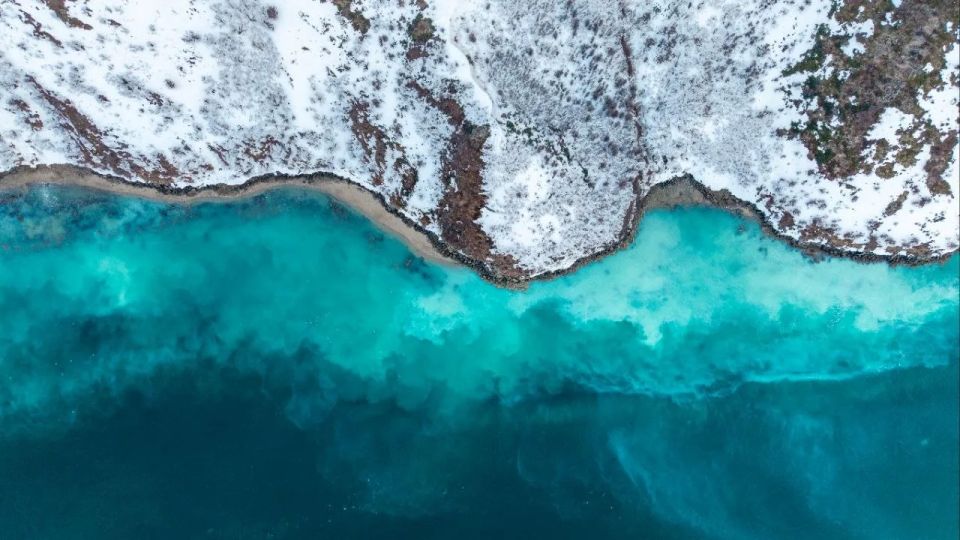 Нерестящаяся сельдь окрасила в бирюзовый цвет воды бухты Нагаева