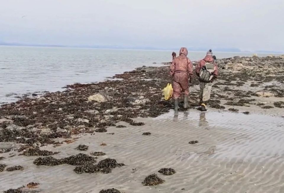 Магаданцы открыли сезон охоты на морских ежей Магаданцы открыли сезон охоты на морских ежей