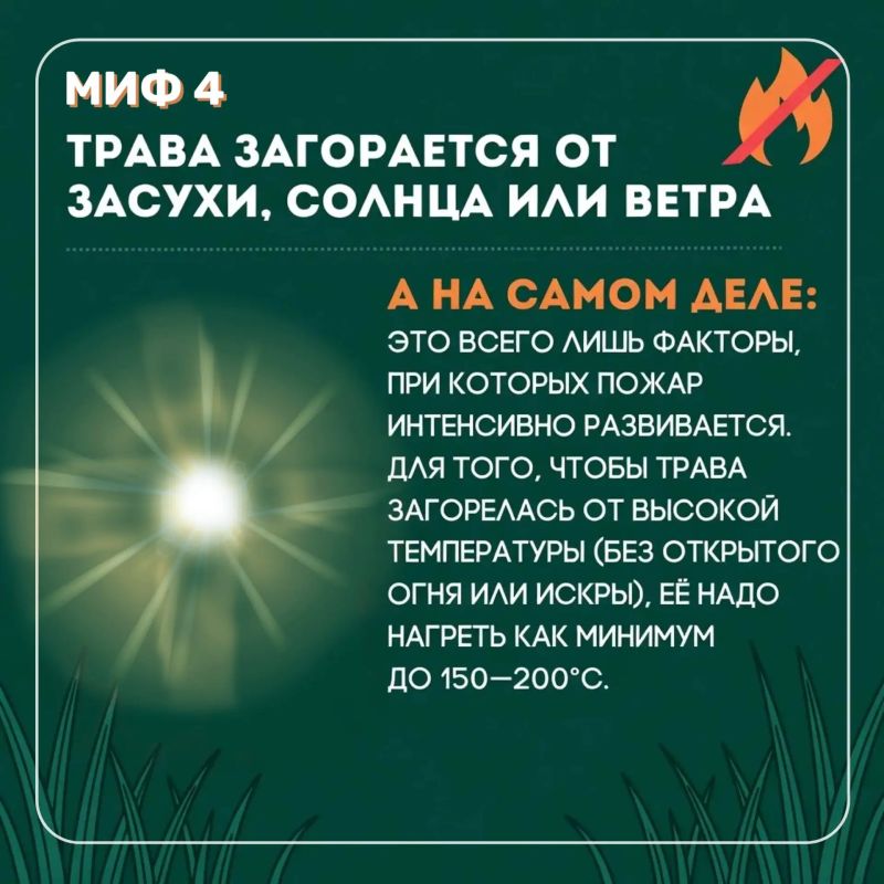 Пал травы может обернуться трагедией! Пал травы может обернуться трагедией!